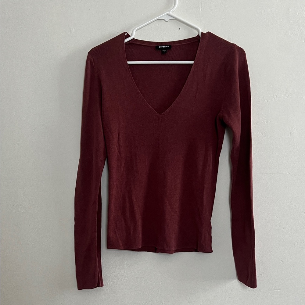 Express Women's Maroon V-Neck Sweater